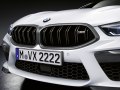 2019 BMW M8 Coupe (F92) - Fotografie 3