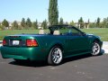 1994 Ford Mustang Convertible IV - Fotoğraf 5