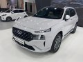 Hyundai Santa Fe IV (TM, facelift 2020) - Fotografie 5