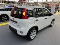 2021 Fiat Panda III (319, facelift 2020) - Photo 4