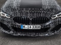 2018 BMW 8 Series (G15) - εικόνα 10