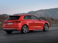 Audi S3 (8V) - Fotoğraf 2