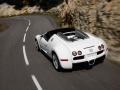 2009 Bugatti Veyron Targa - Fotoğraf 4