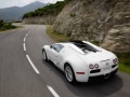 2009 Bugatti Veyron Targa - Fotoğraf 5
