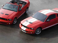 2006 Ford Shelby II - Foto 3