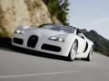 2009 Bugatti Veyron Targa - Foto 2