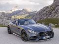 2017 Mercedes-Benz AMG GT Roadster (R190) - Photo 1