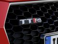 2017 Audi TT RS Coupe (8S) - Снимка 9