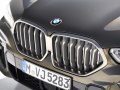 2020 BMW X6 (G06) - Photo 6