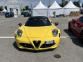Alfa Romeo 4C Spider - Снимка 10