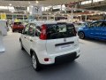 2021 Fiat Panda III (319, facelift 2020) - Foto 5