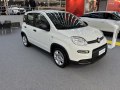 2021 Fiat Panda III (319, facelift 2020) - Photo 2