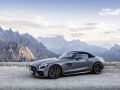 2017 Mercedes-Benz AMG GT Roadster (R190) - Photo 10