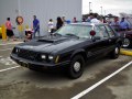 1979 Ford Mustang III - Foto 3