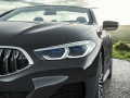 BMW 8 Серии Cabrio (G14) - Фото 8