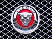 Jaguar emblema