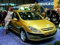 Peugeot 307 - εικόνα 9