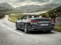 2019 BMW Serie 8 Cabrio (G14) - Foto 2