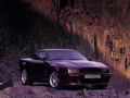 1993 Aston Martin V8 Vantage (II) - Снимка 10