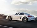 Porsche Cayman (981c) - Photo 5