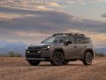 Toyota RAV4 VI Woodland 2.5 (236 Hp) Hybrid AWD ECVT