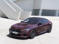 2019 BMW M8 Gran Coupe (F93) - Fotoğraf 8