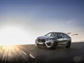 BMW X6 M (F96 LCI, facelift 2023) - Fotoğraf 9