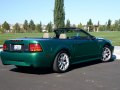 1994 Ford Mustang Convertible IV - εικόνα 5