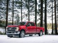 2020 Ford F-250 Super Duty IV (facelift 2020) Crew Cab Long box - Bild 3