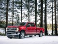 Ford F-250 Super Duty IV (facelift 2020) Crew Cab Long box - Fotoğraf 3