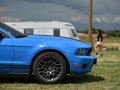 2010 Ford Mustang V (facelift 2009) - Kuva 8