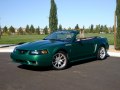 Ford Mustang Convertible IV - Photo 4
