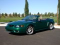 Ford Mustang Convertible IV - Fotografia 4