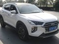 2019 Hyundai Tucson III (facelift 2019, China) - Bild 1