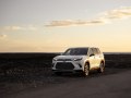 2024 Toyota Grand Highlander - Bilde 17