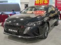 2021 Aeolus Yixuan Max - Photo 2