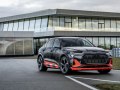 Audi e-tron - Снимка 10