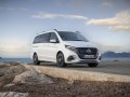 2024 Mercedes-Benz V-class Long (V447, facelift 2024) - Photo 73