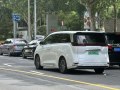 2022 Denza D9 - Foto 9