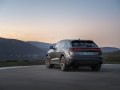 Audi RS Q8 (4M, facelift 2024) - Bilde 9
