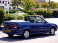 Renault 19 Cabriolet (D53) (facelift 1992) - Fotografia 2