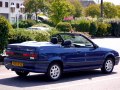 Renault 19 Cabriolet (D53) (facelift 1992) - Kuva 2