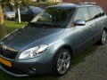 2010 Skoda Fabia II Combi Scout (facelift 2010) - Photo 4