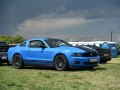2010 Ford Mustang V (facelift 2009) - Kuva 6