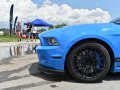 2010 Ford Shelby II (facelift 2010) - Foto 6