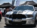 2010 Ford Shelby II (facelift 2010) - Foto 7