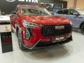 Haval Jolion - Photo 9