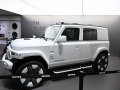 2025 iCAR V23 - Photo 10