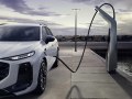 Audi Q3 III (FJ) - Photo 6