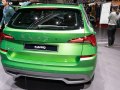 2019 Skoda Kamiq - Снимка 6